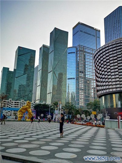 魅力与实力的较量